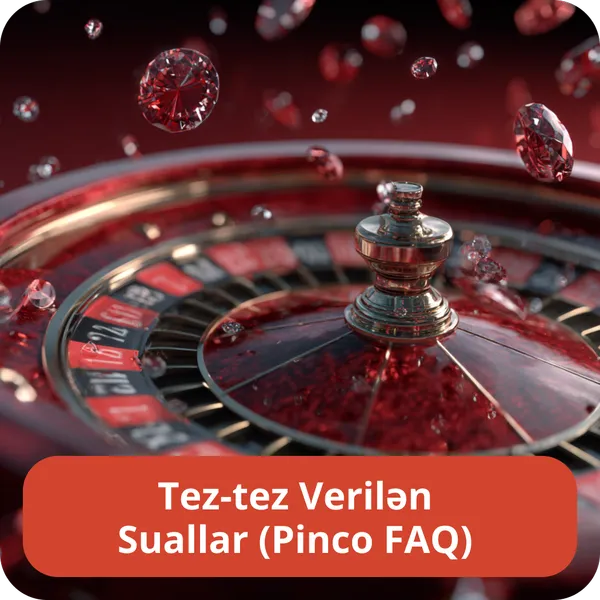 Tez-tez Verilən Suallar (Pinco FAQ)
